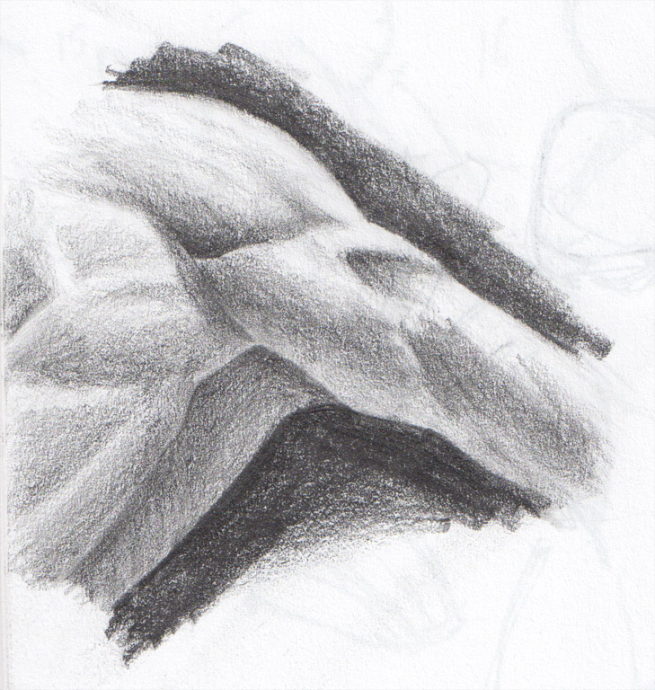 729x768 Shoulder Sketch By Ngross83 - Shoulder Sketch