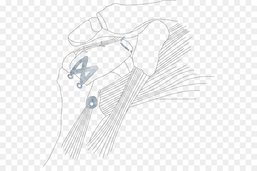 900x600 Sketch Product Design Ear - Shoulder Sketch