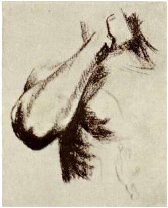 331x410 Sketch Of A Right Arm And Shoulder By Vincent Van Gogh - Shoulder Sketch
