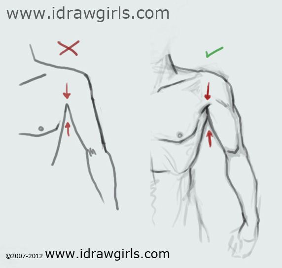 572x544 Shoulder Drawings Drawing Basic Arm Shoulder Problem With - Shoulder Sketch