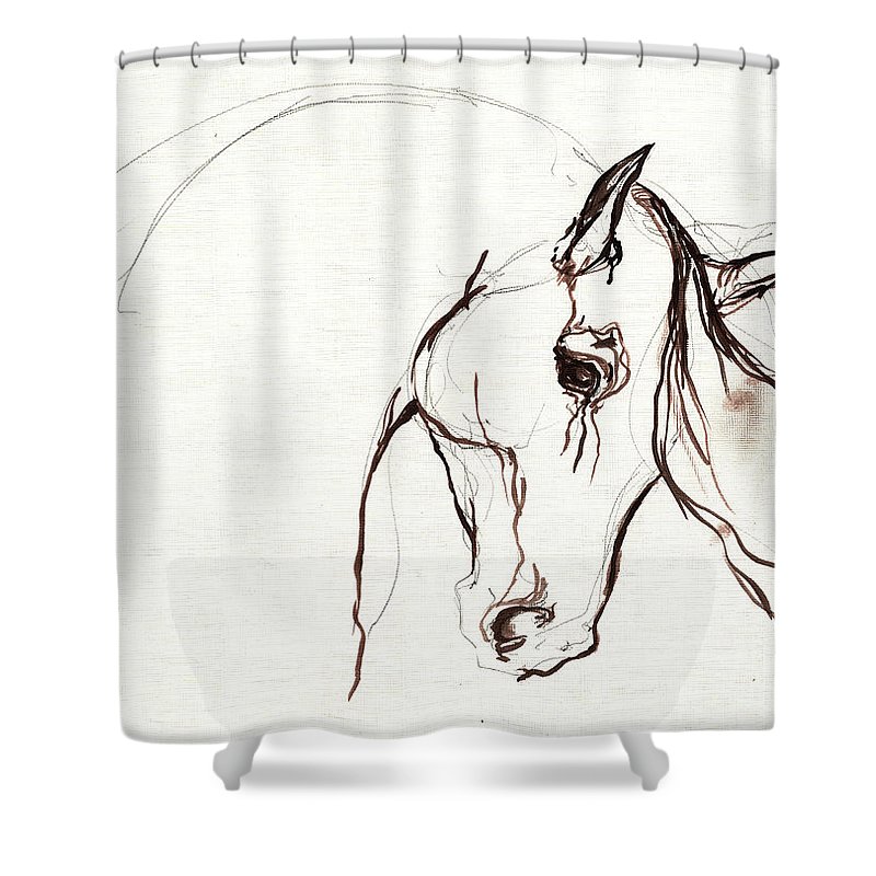 800x800 Horse Sketch Shower Curtain For Sale By Angel Ciesniarska - Shower Sketch