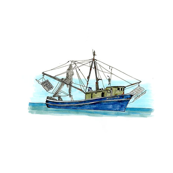 700x700 Mexican Shrimp Trawler, Sketched In The Sea Of Cortez For Notes - Shrimp Boat Sketch