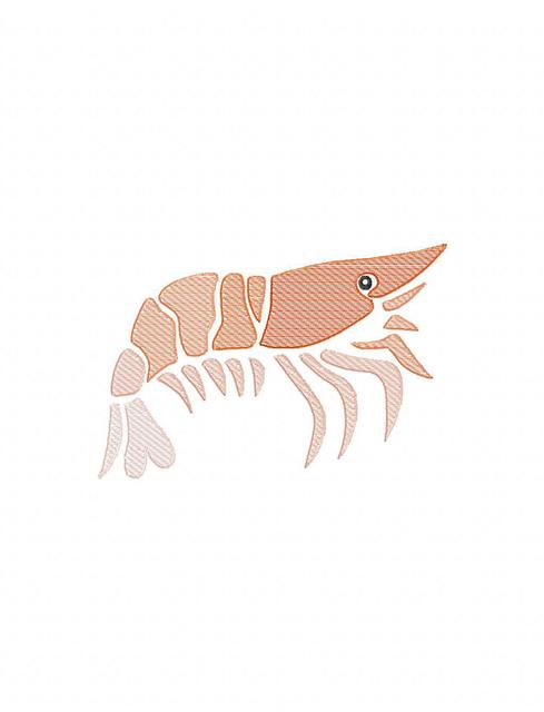 489x640 Shrimp Color Sketch Embroidery Design - Shrimp Sketch