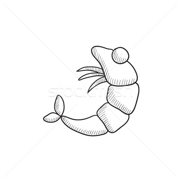 600x600 Shrimp Sketch Icon. Vector Illustration Andrei Krauchuk - Shrimp Sketch