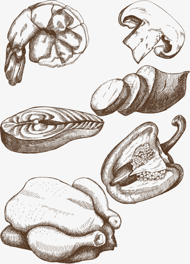 650x905 Food Sketch, Shrimp, Mushroom, Green Pepper Png And Vector For - Shrimp Sketch