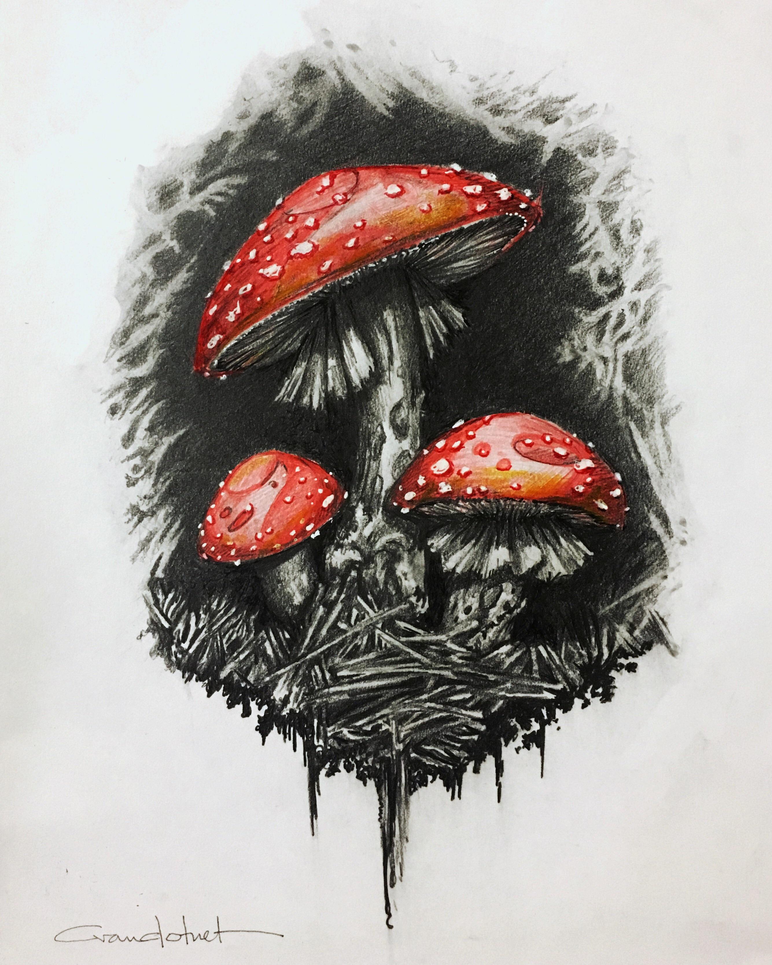 Shroom Sketch at PaintingValley.com | Explore collection of Shroom Sketch