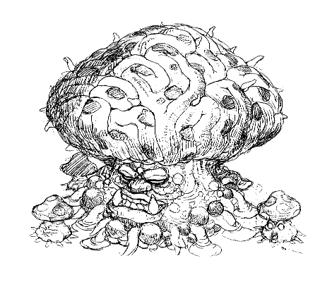 470x400 Shroom Sketch - Shroom Sketch