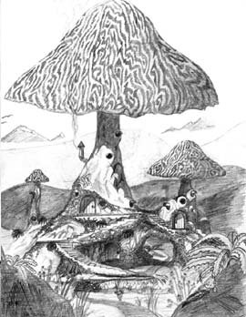 270x348 Shroom Sketch 2 - Shroom Sketch