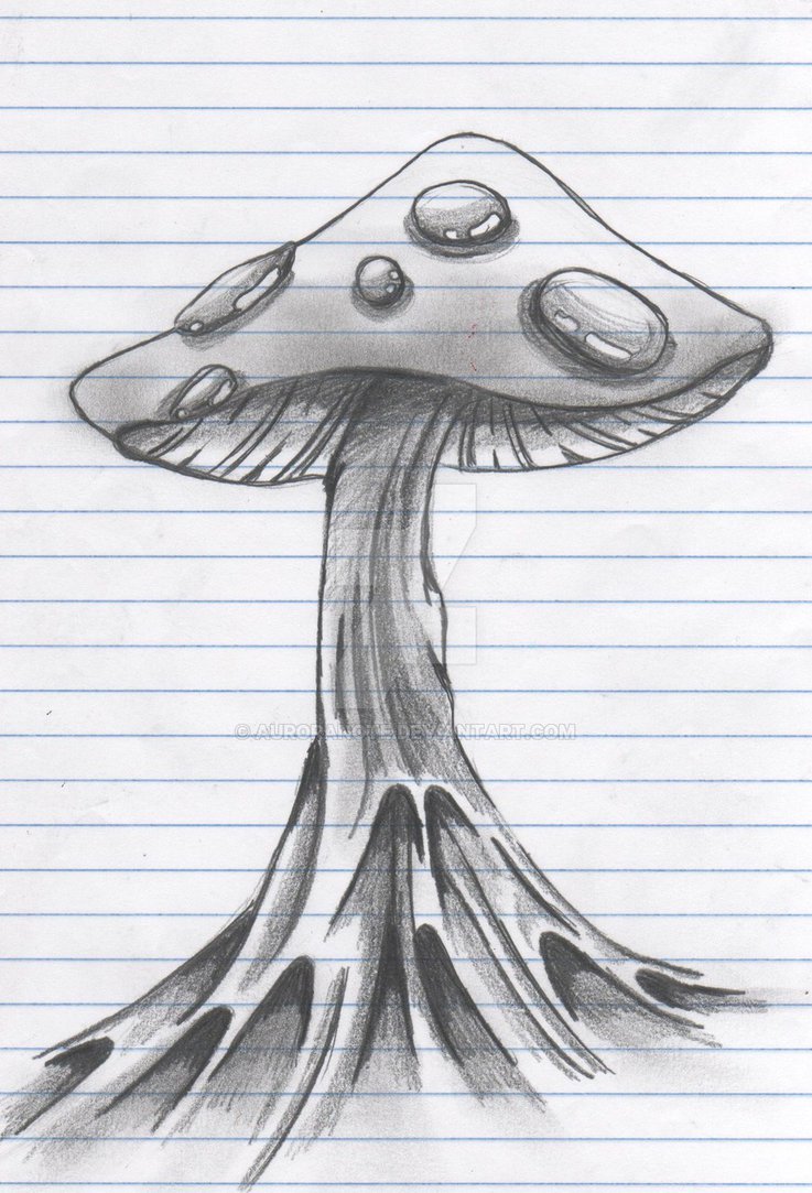 737x1083 Shroom Sketch By Auroranote - Shroom Sketch