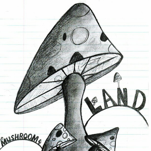 612x612 My - Shroom Sketch