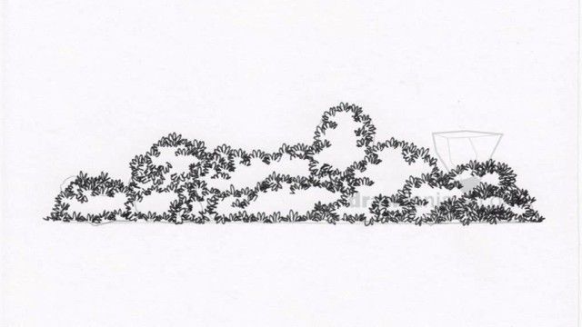 640x360 Pin By Alison Young On Graphics Realistic Drawings - Shrub Sketch