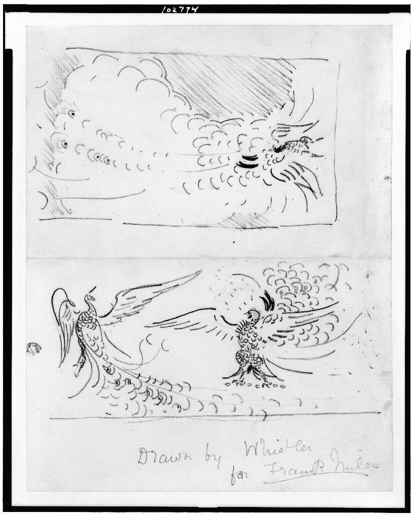 821x1024 Sketches Of A Peacock Shutter And Fighting Peacocks] Picryl - Shutter Sketch