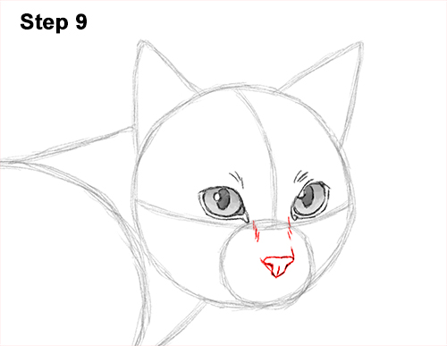 500x387 How To Draw A Siamese Cat - Siamese Cat Sketch