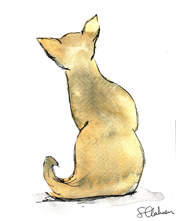 570x716 Siamese Cat Print Simple Cat Sketch Bald Cat Drawing Cat Etsy - Siamese Cat Sketch