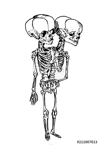 341x500 Graphical Skeleton Of Siamese Twins Isolated On White,fashion - Siamese Twins Sketch