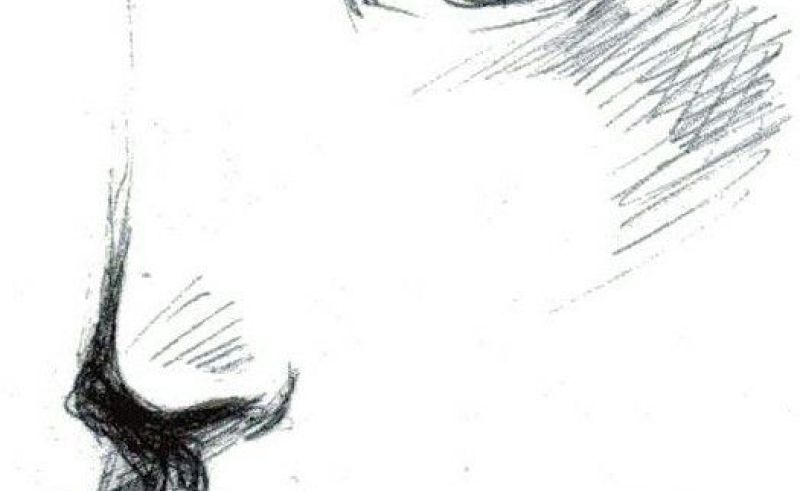 800x491 Blank Face Drawing Beauty Within Clinic - Side Profile Face Woman Sketch