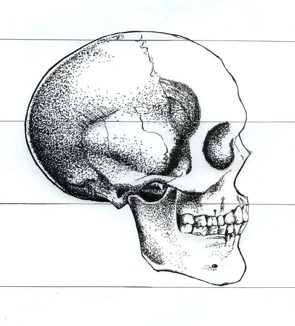 600x664 Skull From The Side Skull Side View Google Search Sugar Skull Side - Side Profile Sketch