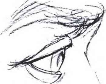 349x276 Eyes Side View Sketch - Side Sketch