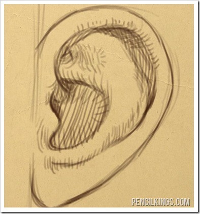 394x421 How To Draw An Ear From The Side Easily - Side Sketch