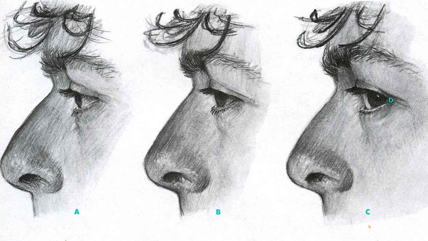 Глупый нос. Глаз в профиль. Зарисовки носа. Рисование глаза в профиль. Рисование носа.