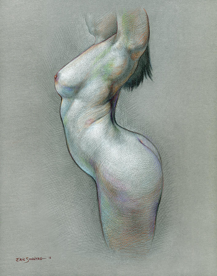 707x900 Silk Drawing By Eric Sonntag - Silk Sketch