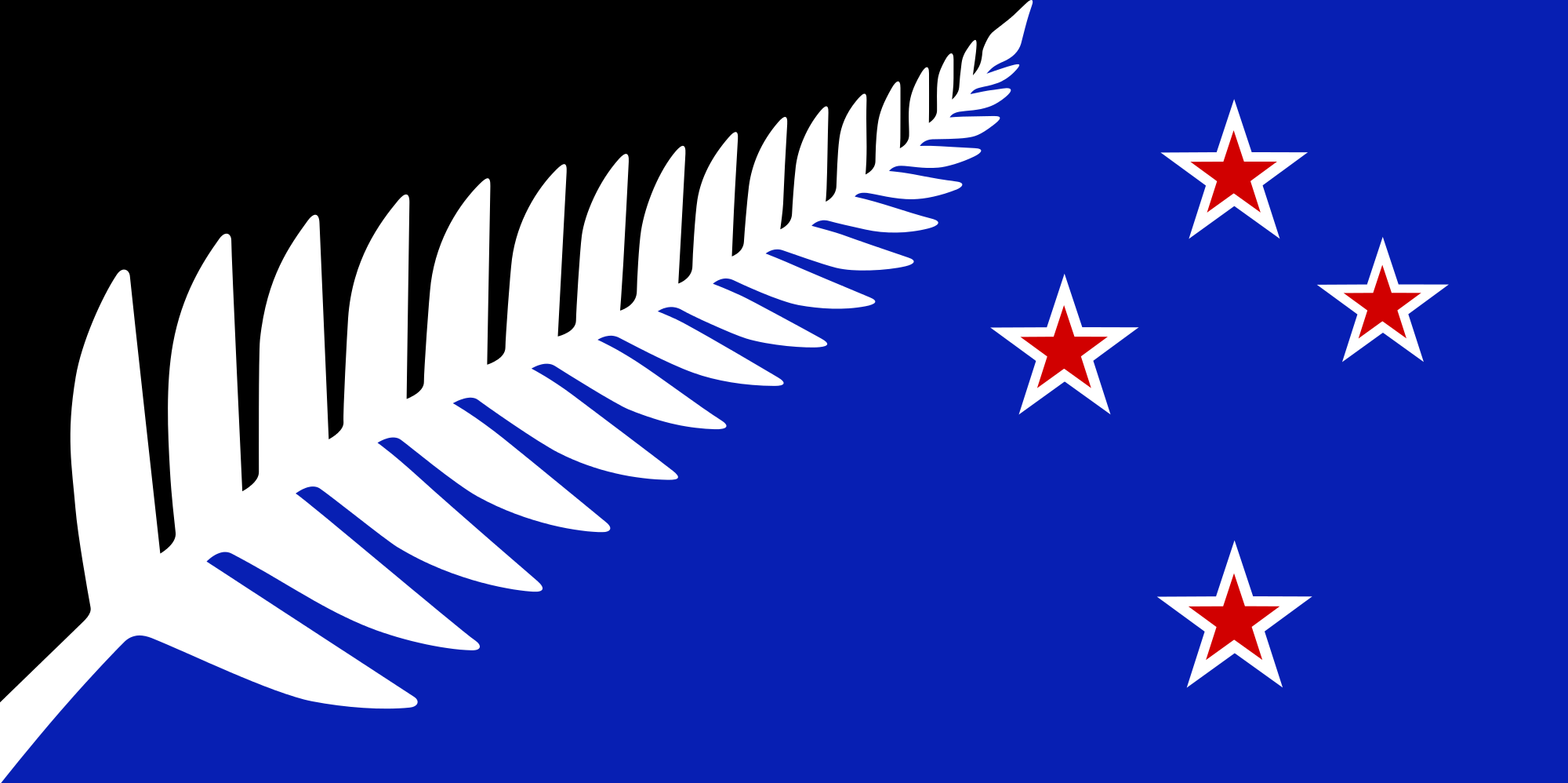 2000x998 Lockwood Silver Fern Flag - Silver Fern Sketch