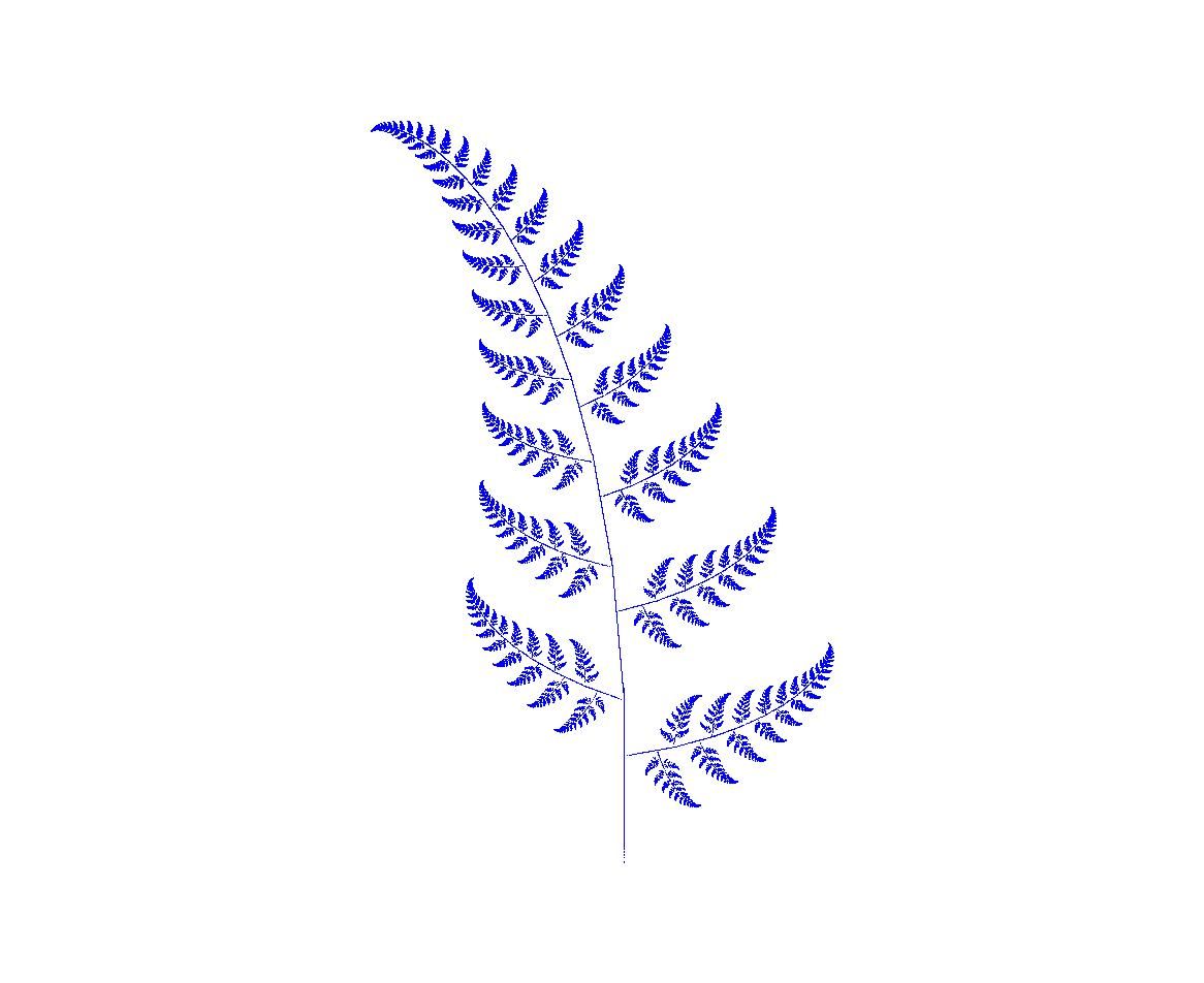 1166x952 Nz Fern Drawing - Silver Fern Sketch