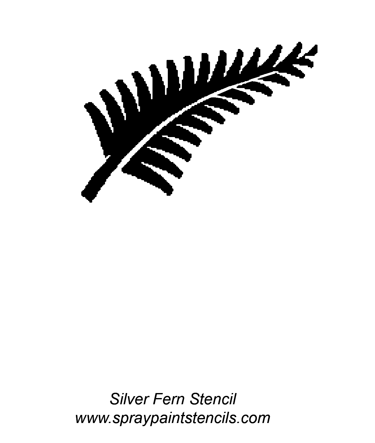 1200x1419 Ohman Blog Silver Fern - Silver Fern Sketch