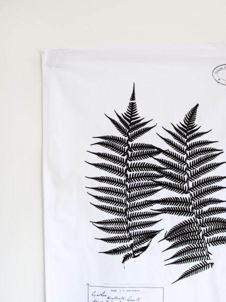 450x600 Silver Fern Tea Towel - Silver Fern Sketch
