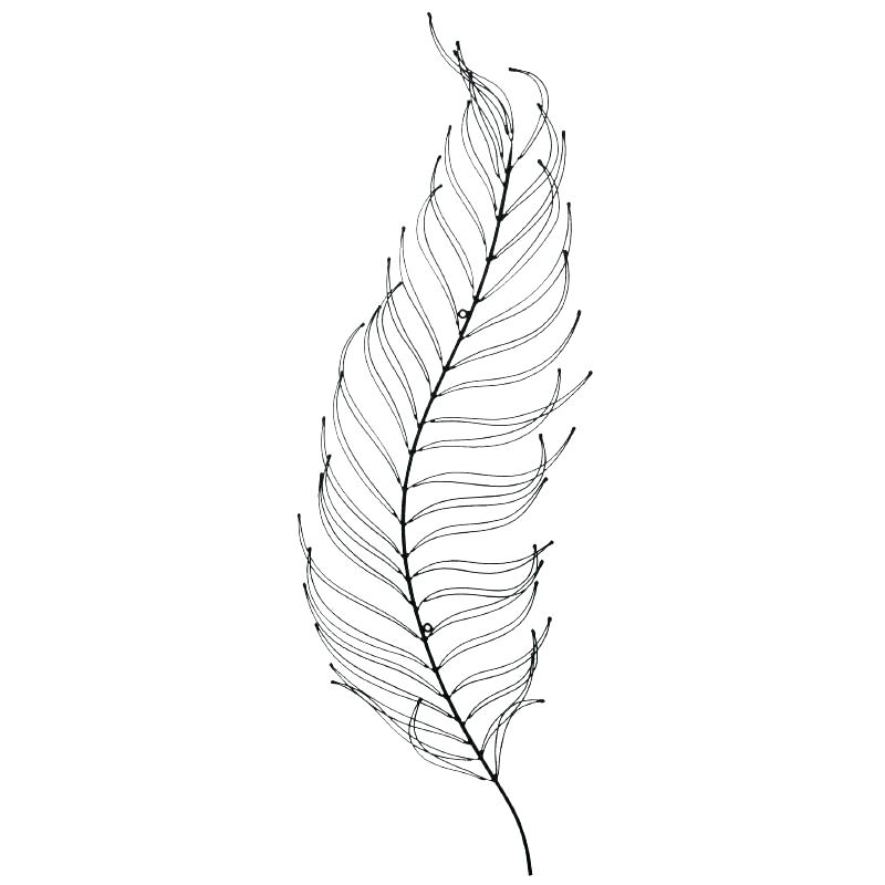800x800 Fern Wall Art Nitrocut.club - Silver Fern Sketch