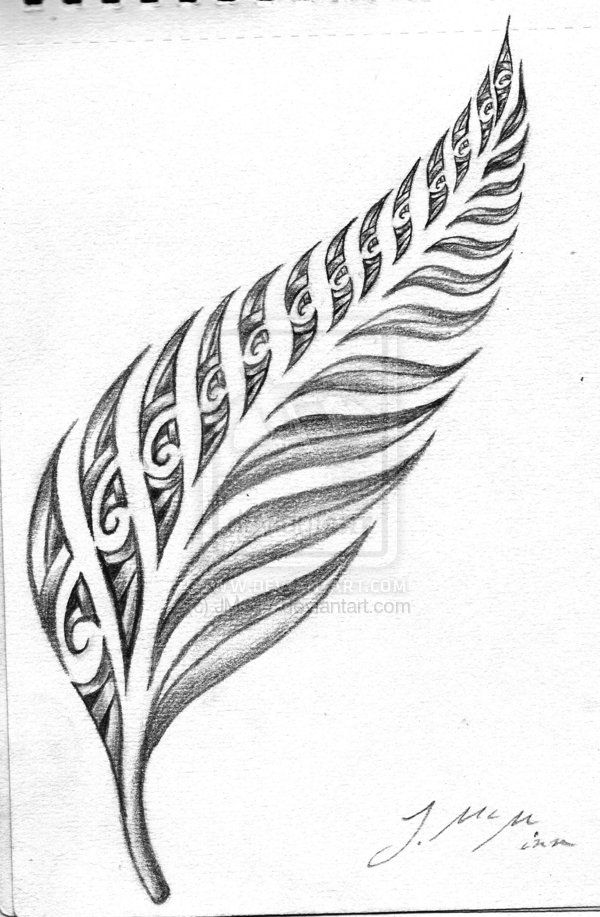 600x917 Silver Fern Maori Tattoo - Silver Fern Sketch