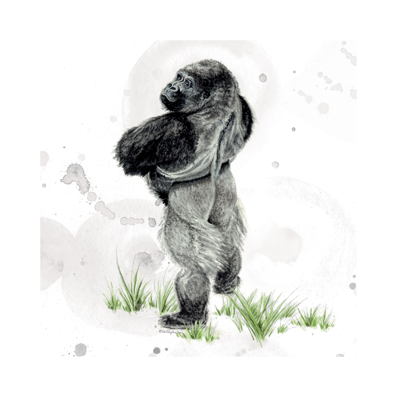 782x782 Secp005 Silverback Gorilla Sweet Design - Silverback Gorilla Sketch