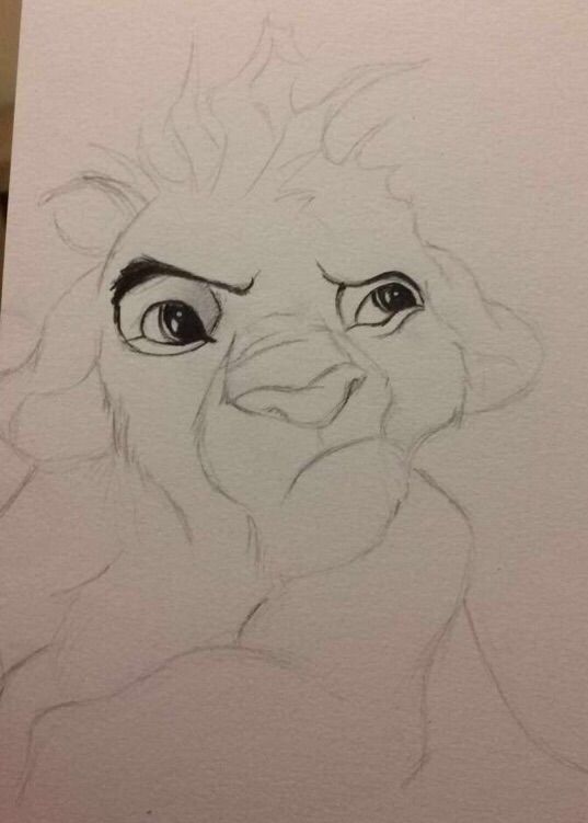 537x751 Simba Sketch Cartoon Amino - Simba Sketch