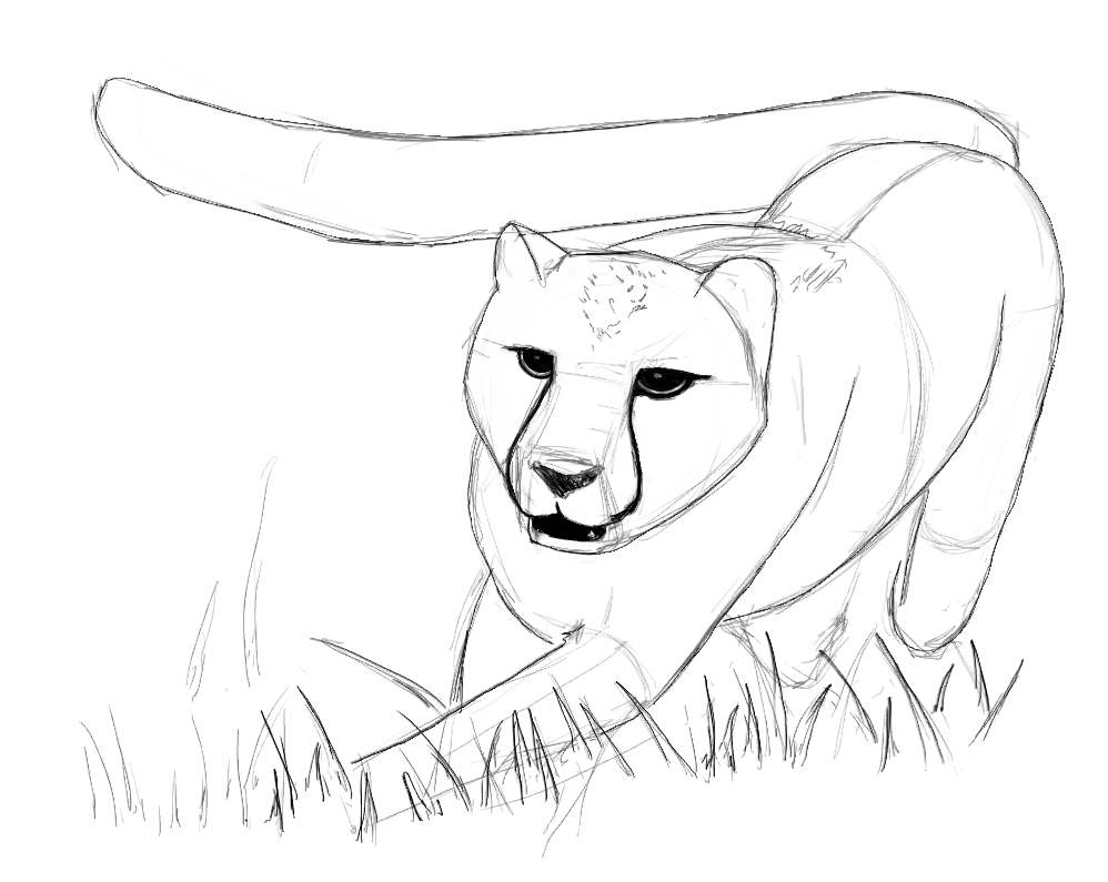 998x795 Simple Baby Face Drawing How To Draw A Baby Face Solution For - Simple Baby Sketch