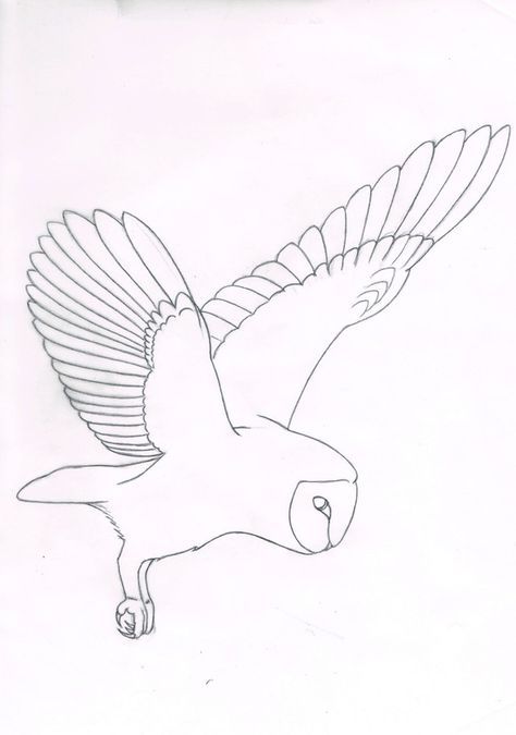 474x675 Barn Owl Flying Art Simple - Simple Barn Sketch