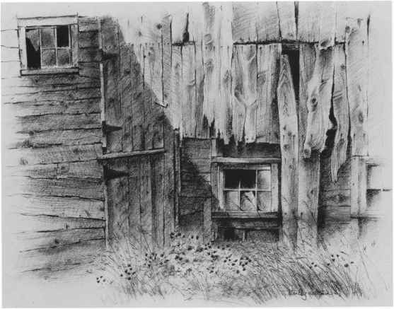 557x437 Barns Grass Rocks And Water - Simple Barn Sketch