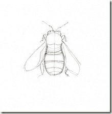 219x224 Pencil And Leaf Bee No7 The Beautiful Violet Carpenter Bee - Simple Bee Sketch