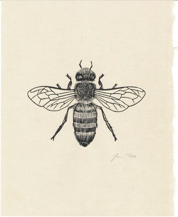 Simple Bee Sketch at PaintingValley.com | Explore collection of Simple ...