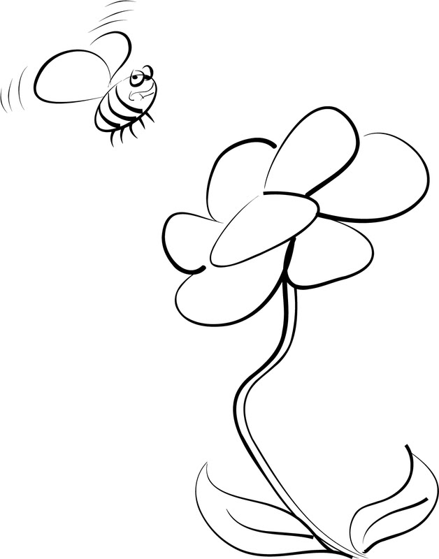 628x800 Doodle All A Day Bee Amp Flower - Simple Bee Sketch