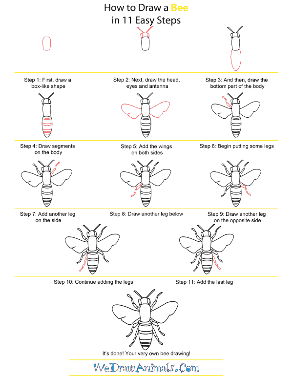 600x776 How To Draw A Bee - Simple Bee Sketch