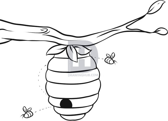 693x501 How To Draw A Beehive, Step By Step, Drawing Guide, By Darkonator - Simple Bee Sketch