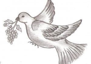 300x210 Simple Bird Sketch - Simple Bird Sketch