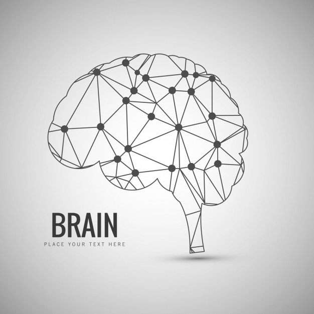626x626 Brain Vectors, Photos And Psd Files Free Download - Simple Brain Sketch