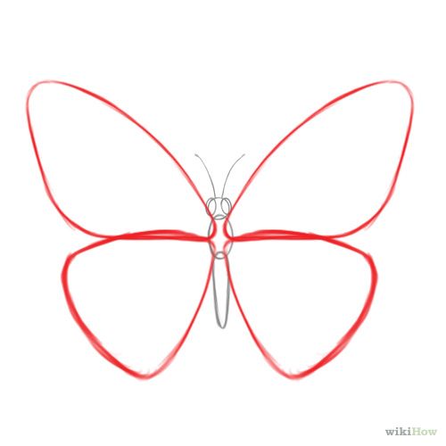 500x500 Draw A Butterfly Art Techniques Drawings - Simple Butterfly Sketch