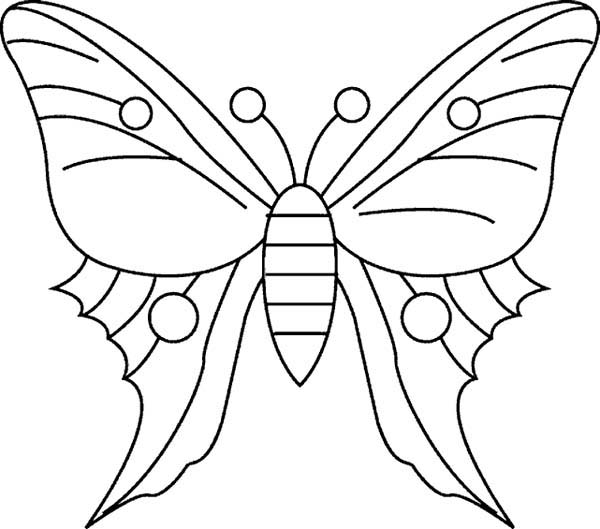 600x529 Simple Butterfly Drawings Kids - Simple Butterfly Sketch