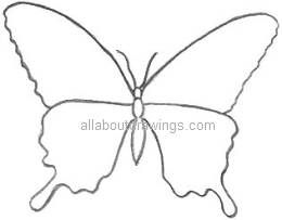 260x203 Art Clip Picture Butterfly Drawings Butterfly Outline Pattern - Simple Butterfly Sketch
