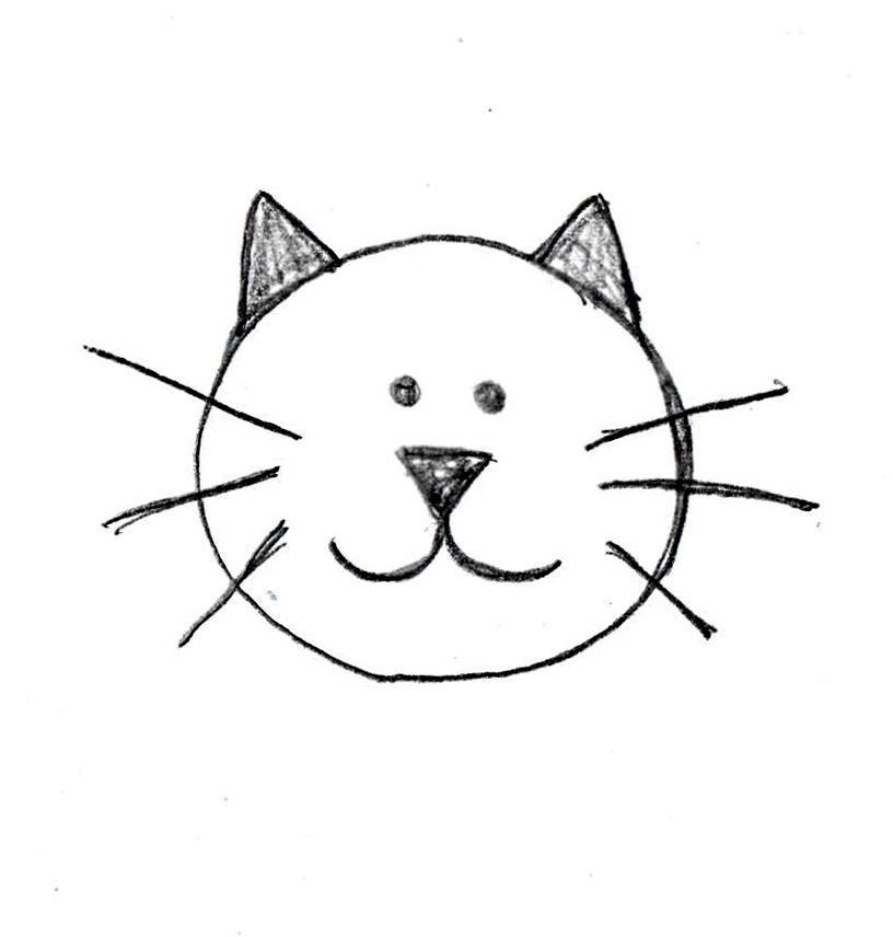 easy cat head drawing