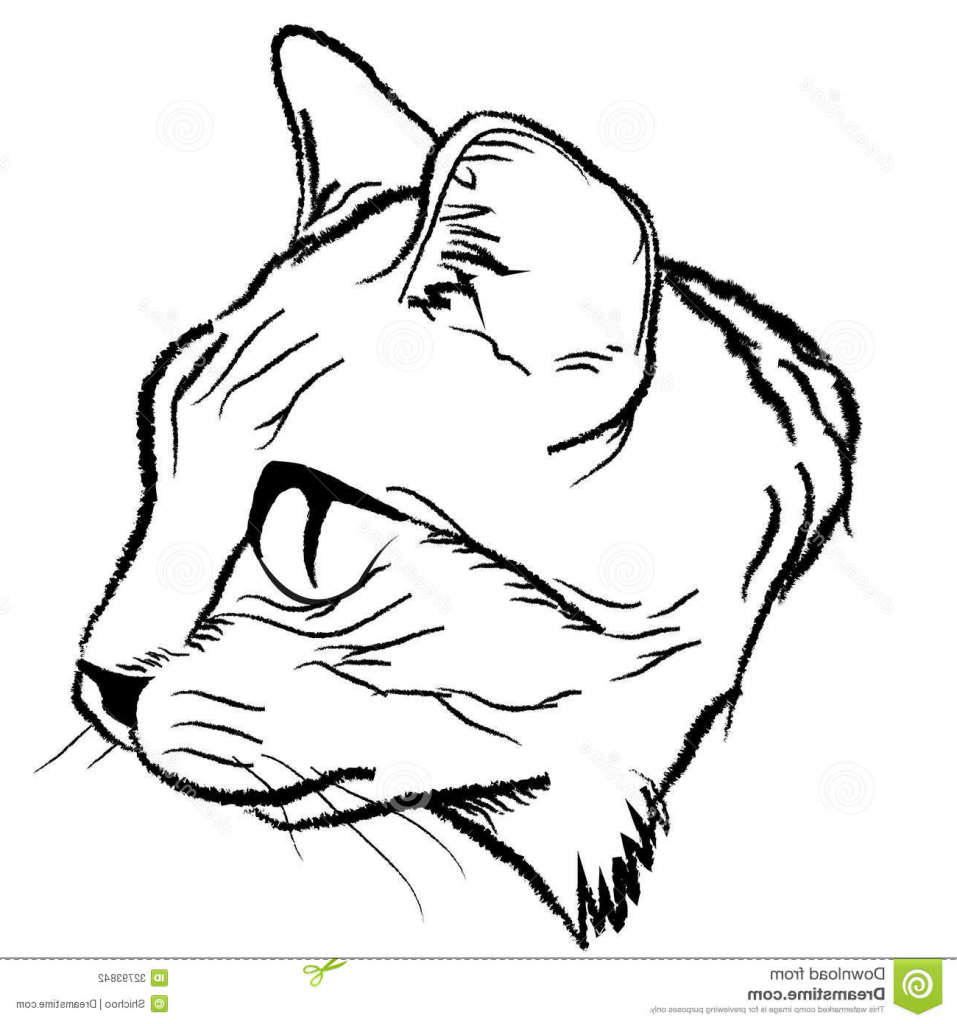 957x1024 Design Simple Cat Line Drawing Pictures - Simple Cat Sketch