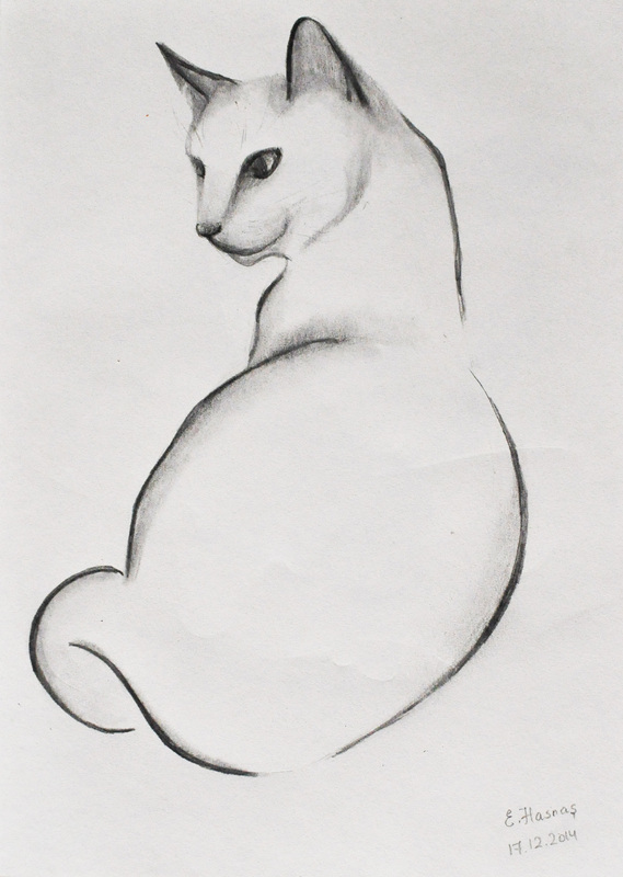 569x800 Elena Hasnas - Simple Cat Sketch