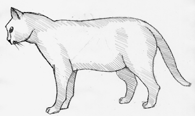 396x237 How To Draw A Cat With A Few Steps - Simple Cat Sketch